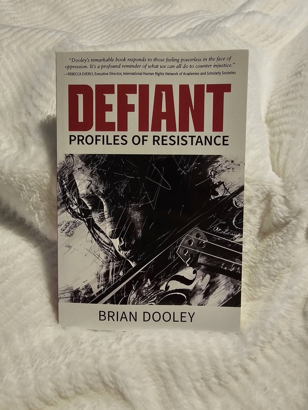 Defiant : Profiles of Resistance by Brian Dooley - Paperback